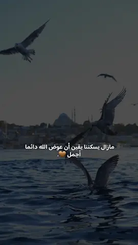 تابعوني على انستغرام diaa1.95  #تصويري_اكسبلور #تصويري_احترافي_الاجواء👌🏻🕊😴 #اقتباسات📝 #اقتباسات_جميله #ستورياتانستا 