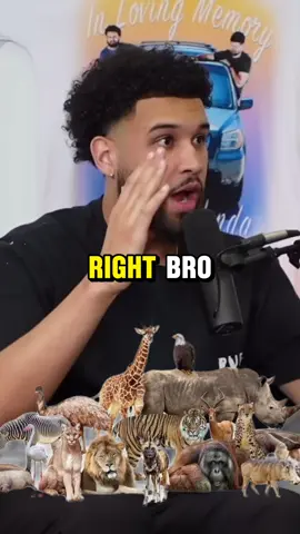 Are humans animals#yskpodcast #youshouldknow #funny_video #animal 