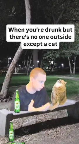 When you’re drunk but there’s no one outside except a cat 😂😂😂 #fyp #memes #funny