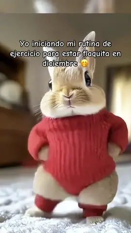 #MemeCut vamos que si alcanzo a enflacar de aquí a diciembre jaja #Meme #MemeCut 