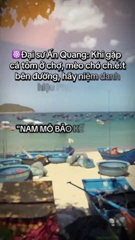 NAM MÔ A DI ĐÀ PHẬT NAM MÔ BẢO KẾ NHƯ LAI🙏🙏🙏 Phật Pháp không có bản quyền - chia sẻ Cháp Pháp, công đức vô lượng ạ! #nammoadidaphat  #phatphapnhiemmau 