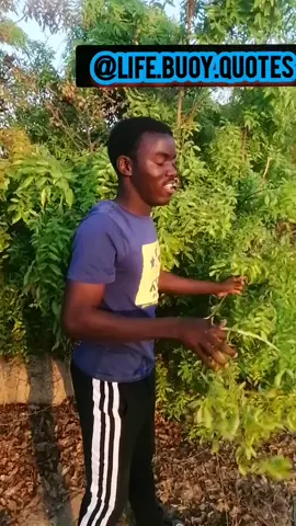 Story😀#bostviewfromthisvideo #viralviralviral #viralalert #viewsnow#makananviral 