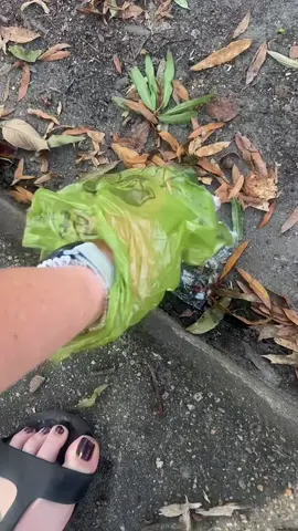 My car is on her last few days and I don’t have any money in the budget for a new car. I’m trying to get into the creator rewards program. I can a little bit money to put towards a car so every new follower I’ll get I’ll pick up a piece of trash help me and comment repost and save this video. Thank you. I will put gloves in the car so I don’t have to use a poop bag 😂😂#trashcleanup #cleaninguptrash #CleanTok #community #creatorrewardsprogram #journeyto10k #everynewfollower #trash #streetcleaning #neighborhoodcleanup 