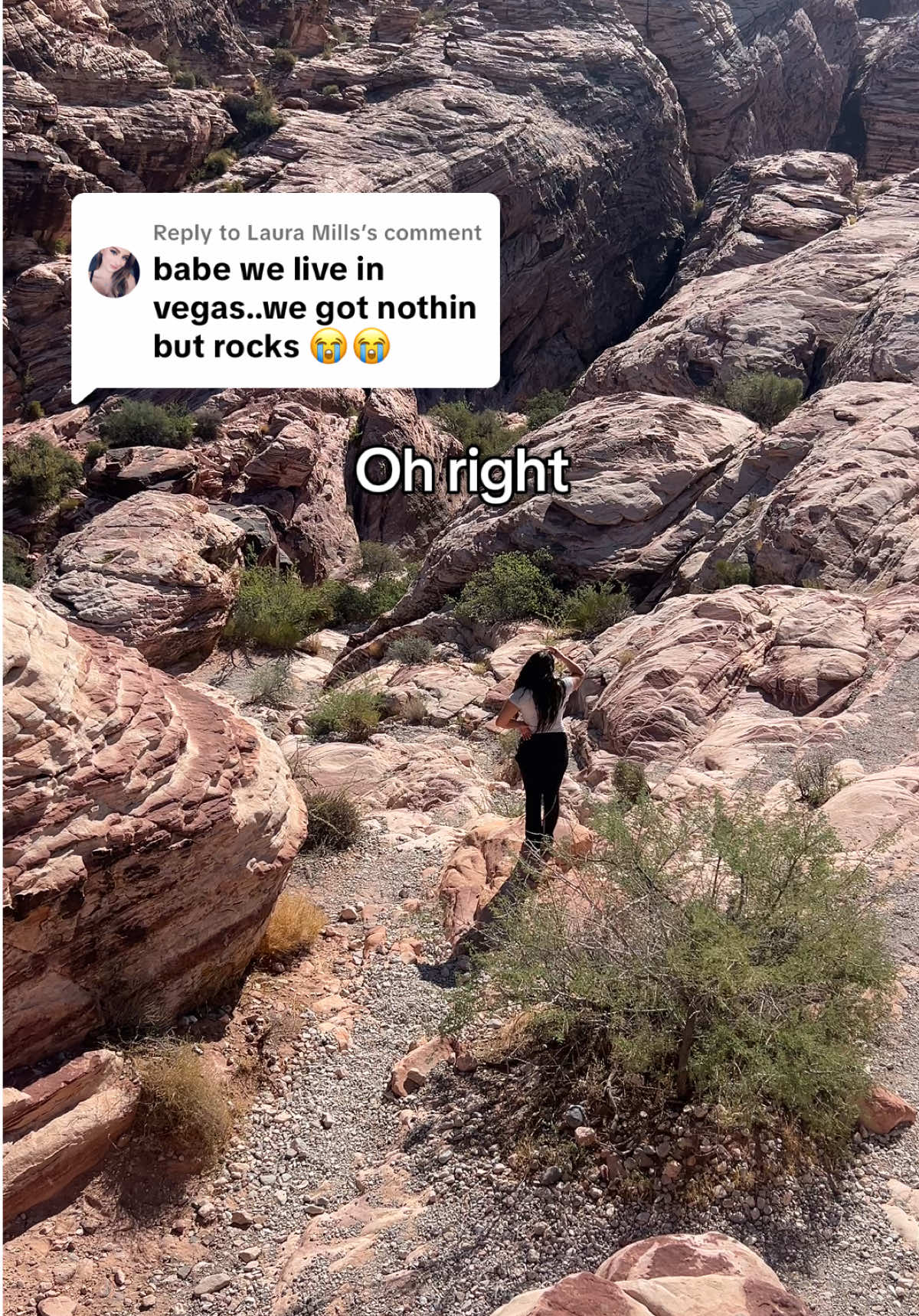 Replying to @Laura Mills who needs Anthropologie anyway 