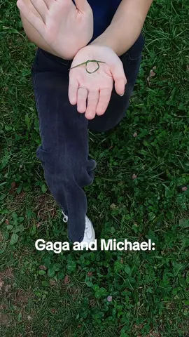 ::Michael proposed to Gaga with a blade of grass(after he gave her a ring of course), which is why her song in Mayhem ends with love.Blade of grass is a story about how no diamond can replace even a blade of grass that was given to you with love🥹❤ @ladygaga @stefanigermanott5 #ladygaga #littlemonsters #mothermonsters #recomendation #michaelpolansky #Love 