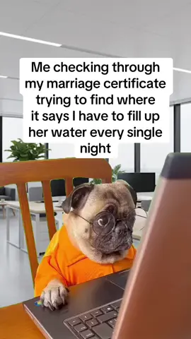 I thought gender roles weren’t a thing anymore…. #marriage #marriedlife #husbandwife #funny 