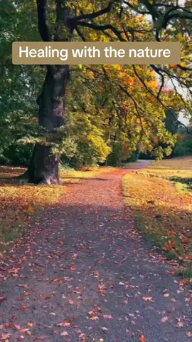 healing with the nature .#tree #HealingJourney #fyppp #foryoupage❤️❤️ #inspiration 