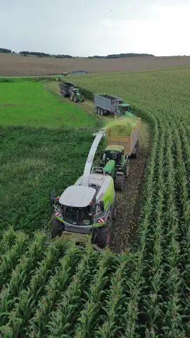 #latamy #głupoty #przecinki@Bracia  Gajkowscy @Agrimasz @agrosiecmaszyny John Deere @jarweremczuk 