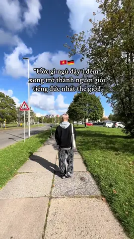 #xh #fypシ゚ #fyppppppppppppppppppppppp #duhocsinhduc🇩🇪 #vietnamese 