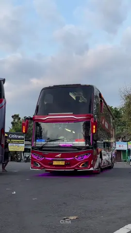 Elegan from agramas #agramas #agramasdoubeldekerhq005 #agrascania 