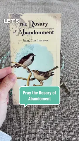 My current favorite prayer is the Rosary of Abandoment.  I made this tutorial to share it with others. I hope it brings you peace.  #rosary #hailmary #catholictiktok #prayer #virginmary 