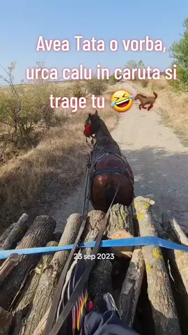 O fi bine ma 🥰😍