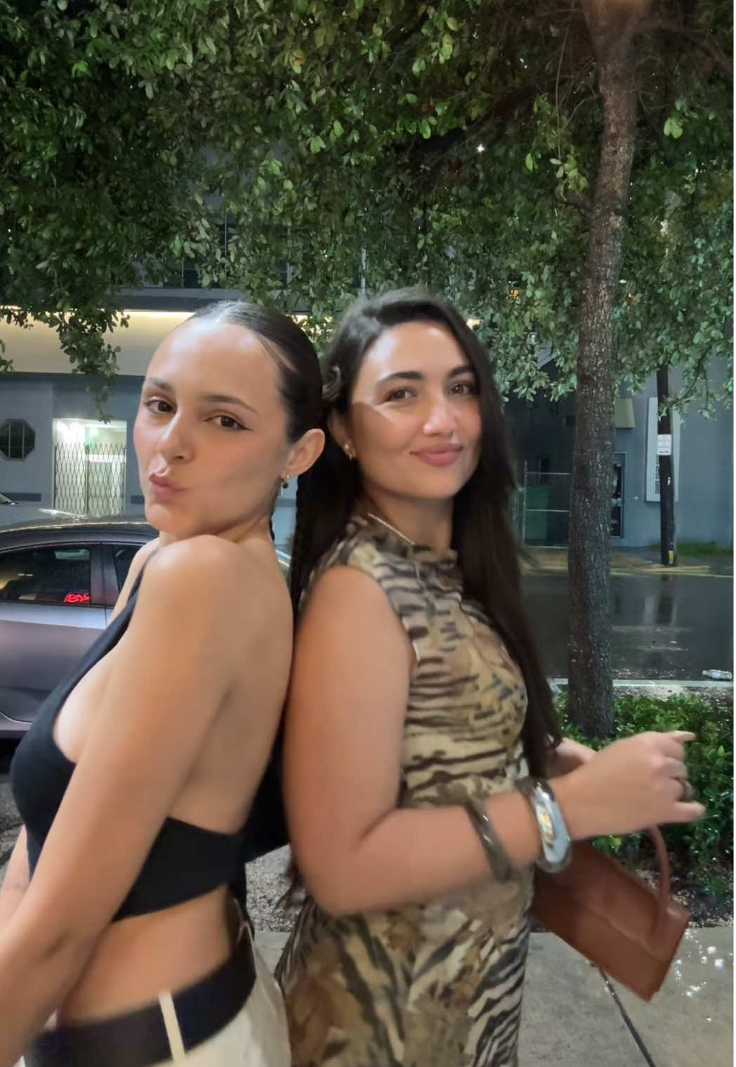 my last 2 brain cells ⭐️⭐️@Paulina 