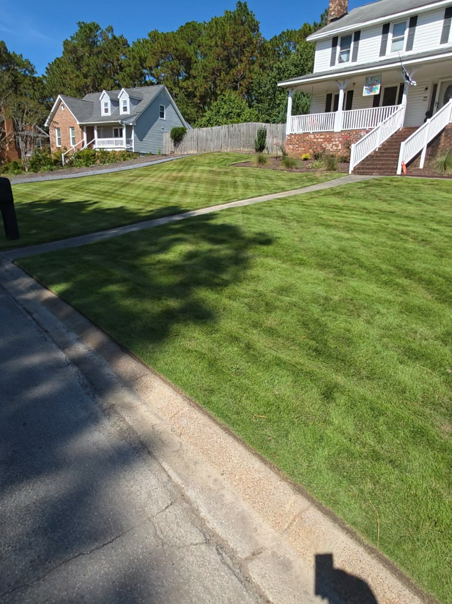 zeon zoysia pre emergent day ⛳️ #lawncare #foryou #trending #fyp #foryoupage 
