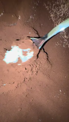 Ich konnte es nicht nicht tun #embo #tiramisu 