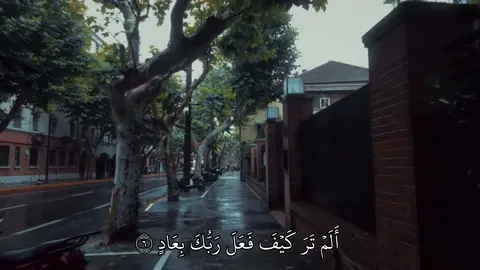أَلَمۡ تَرَ كَيۡفَ فَعَلَ رَبُّكَ بِعَادٍ ٦.  سورة الفجر / ماهر المعيقلي  ———————————————— #quran #quran_alkarim #قران_كريم #قران #تلاوات_خاشعة 