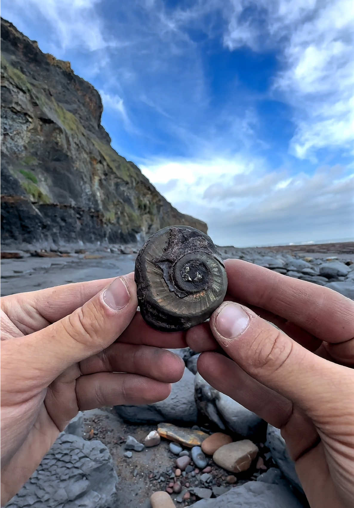 We found a Jurassic stone under a Boulder and opened it up with our big hammer and chisel  🤯 We even show one of our biggest Belemnite fossils which would have been a beast when it was still alive roughly 180 Million Years Ago! 🏝️🦕 Thanks for supporting our page! 🐊 #fossilhunting #rockbowling #ammonite #beachcombing #fyp