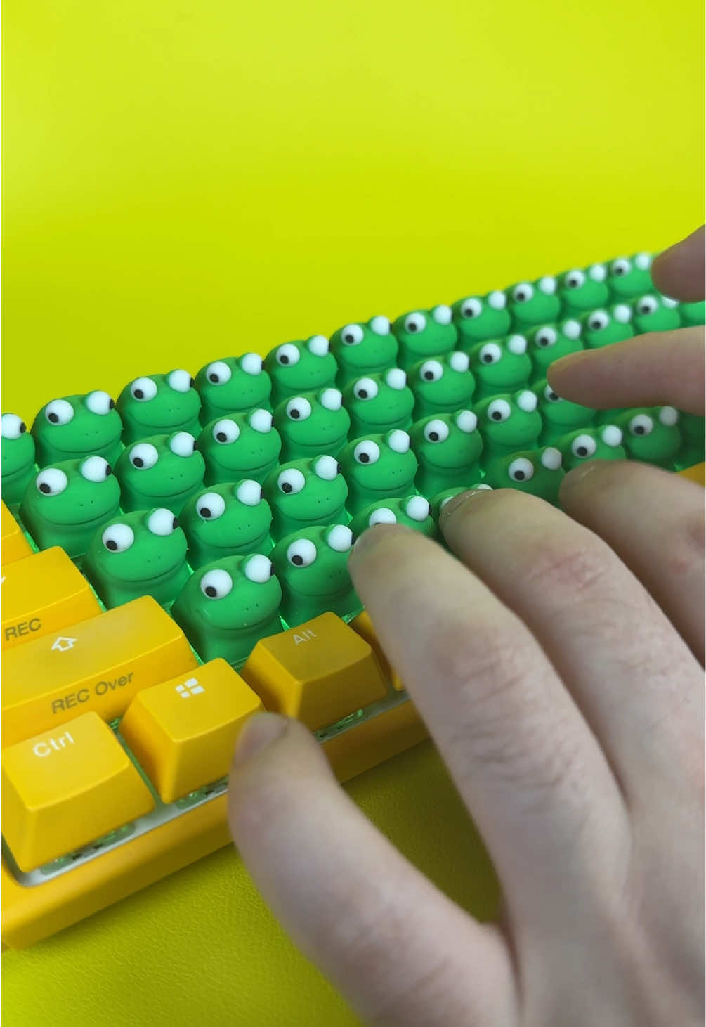 Building a Lizard Keyboard 🦎 #keyboard #gaming #lizard 