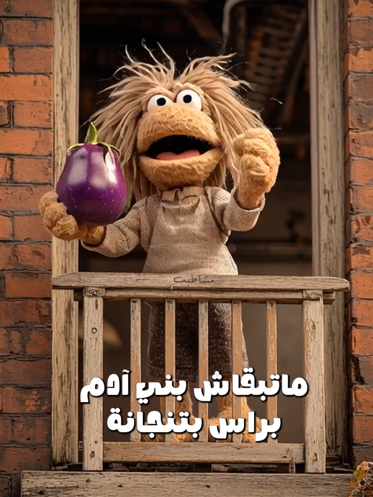 🤣🤣🤣مين فيكم بعرف أبو/أم راس بتنجانة؟ . . . #مشاطيب #ضحك😂 #كوميدي #ابتسم #مشغول 