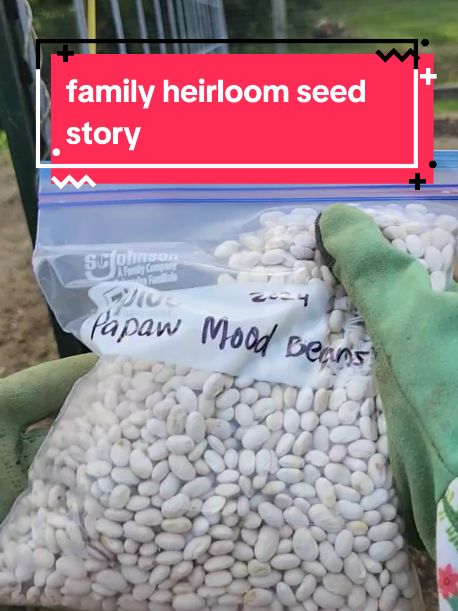 These were the best gift my grandma ever gave me!  #familyheirloom #seedsaving #heirloomseeds #TikTokLearningCampaign #gardening 
