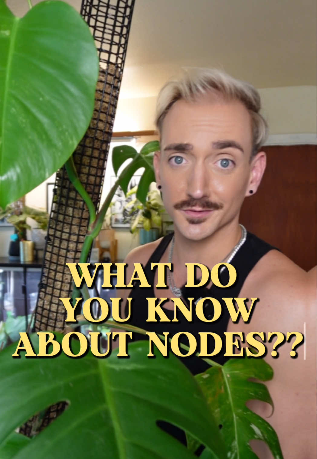 Nodes are the growth points that new leaves come out of! I forgot that I had activated a second node on this monstera with Crazy Keiki Cloning Paste, so it’s time to chop it in two.  This plant chore allowed this monstera to stop putting its energy into two different growth points by creating two separate plants in the same pot.  #PlantTok #propagate #brandonbotanical #gardening #plantcare 