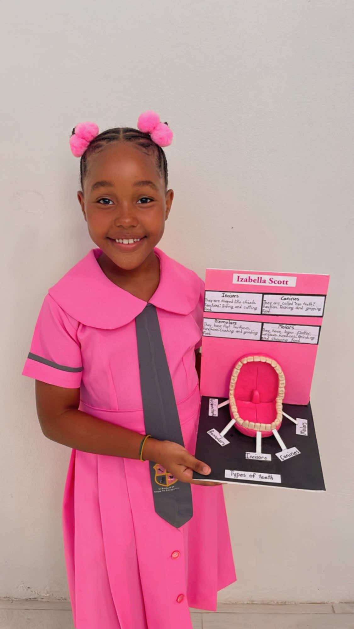 3D play dough model of the mouth showing the different types of teeth. 
