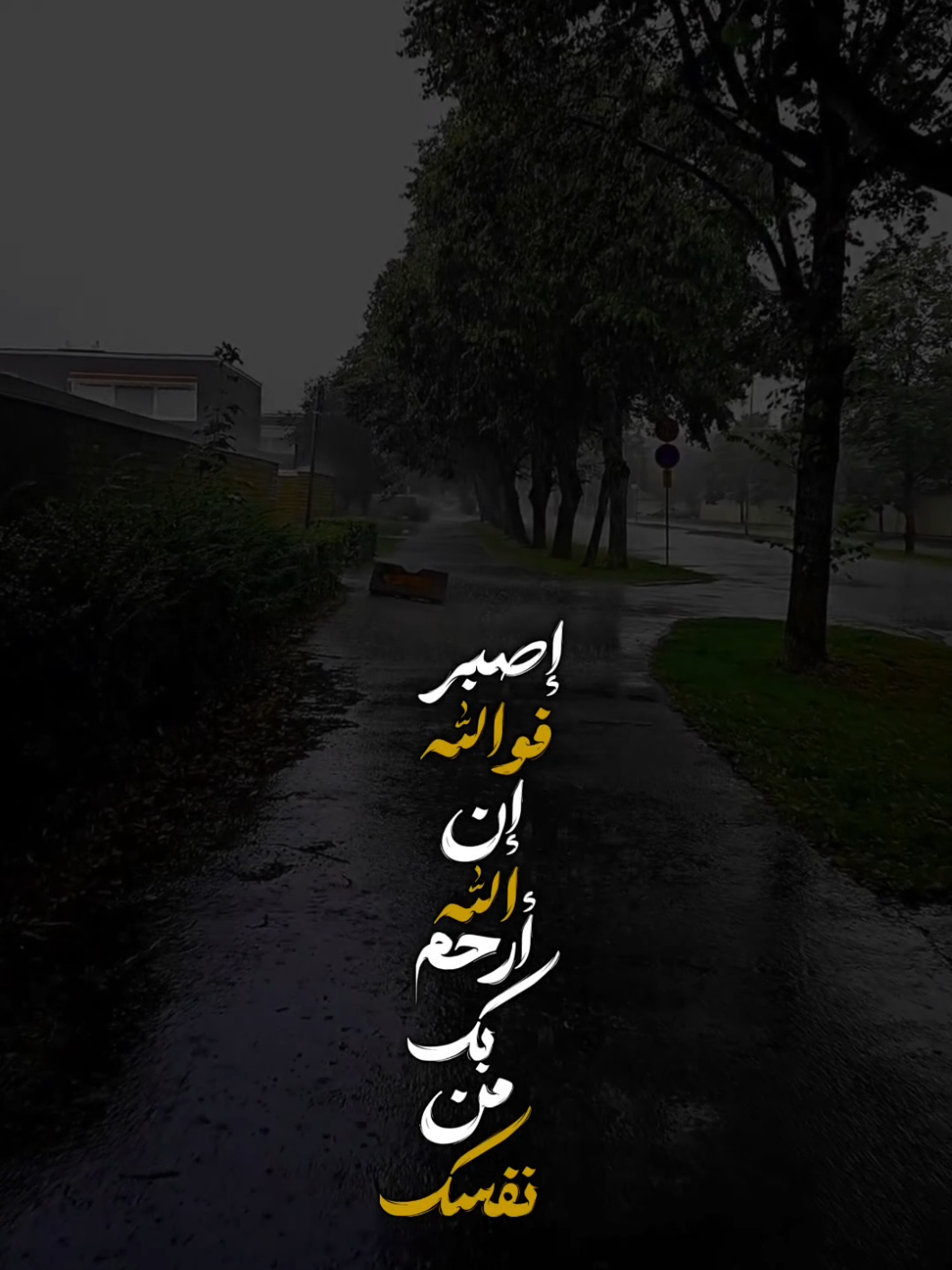 إكتب ماتـــؤجرعليه#قوالب_دينيه #تلاوه_خاشعه #فارس_عباد #قوالب_كاب_كات #CapCut 