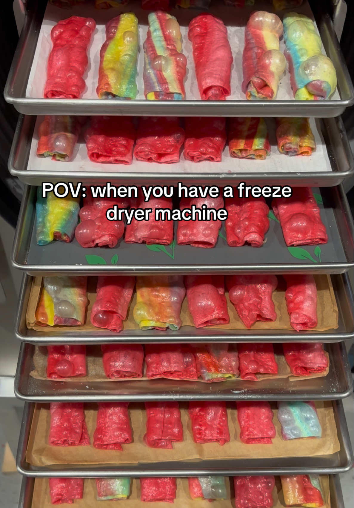 Making all kinds of freeze dried snacks #freezedriedsnacks #snacks #freezedriedcandy #taffy #fruitrollup 