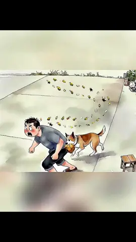 jajaja pobrecito  #perrostiktokers  #perrosfelices  #abejaschallenge🐝  #risas😂😂😂 @creator search insights @#foryou @TikTok LIVE Latinoamérica @tiktok creators #LIVEIncentiveProgram 