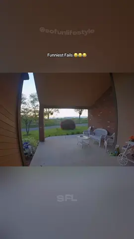 #funnymoments #funnytiktok #funnyvideoscomedy #funnypets #funnycomedy 