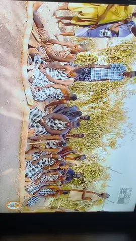 Yiramba😭😭