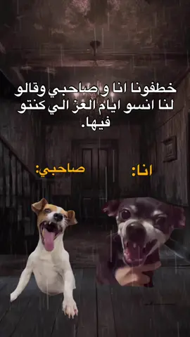 طاقيه🤣🤣🤣.  #fyp #viral #explore #الشعب_الصيني_ماله_حل😂😂 #مالي_خلق_احط_هاشتاقات #foryou #memes #منشن_للي_تحبه #طاقيه_طاقيها😁❤️💍 #حقيقة #ميمز_العرب 