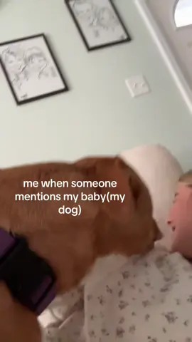 i love indigo #fyp #dog #fyp #viral