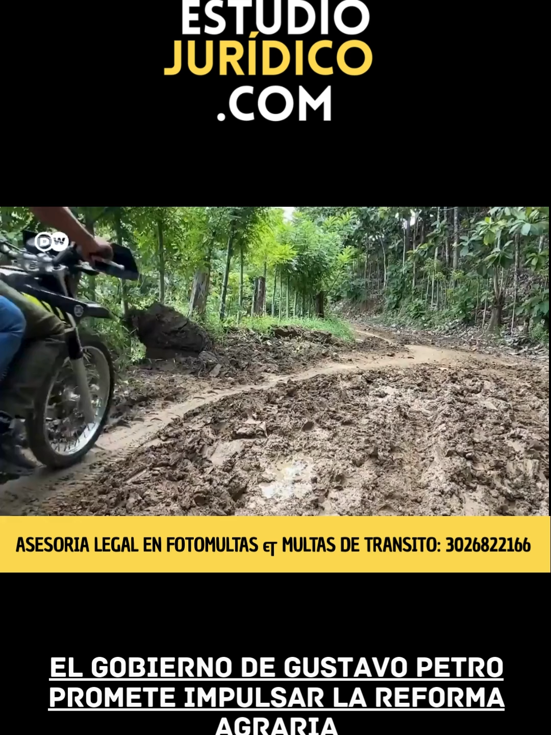 Más de 7 millones de colombianos han sido víctimas del desplazamiento forzado como consecuencia del conflicto armado que vive el país hace 70 años. La Agencia Nacional de Tierras ha formalizado 1,5 millones de hectáreas y ha gestionado más de 500.000 hectáreas para su entrega. Eso ha significado para muchos campesinos colombianos la ilusión de volver a vivir del campo.  El Gobierno de Gustavo Petro reafirmó su compromiso de impulsar la reforma agraria, con el objetivo de garantizar acceso a la tierra, justicia social y desarrollo en el campo colombiano. La medida busca saldar una deuda histórica con campesinos y comunidades rurales, aunque enfrenta retos políticos y de implementación. #ReformaAgraria #GobiernoPetro #CampoColombiano #JusticiaSocial #NoticiasColombia #CambioPorLaVida #DWNoticias #Colombia
