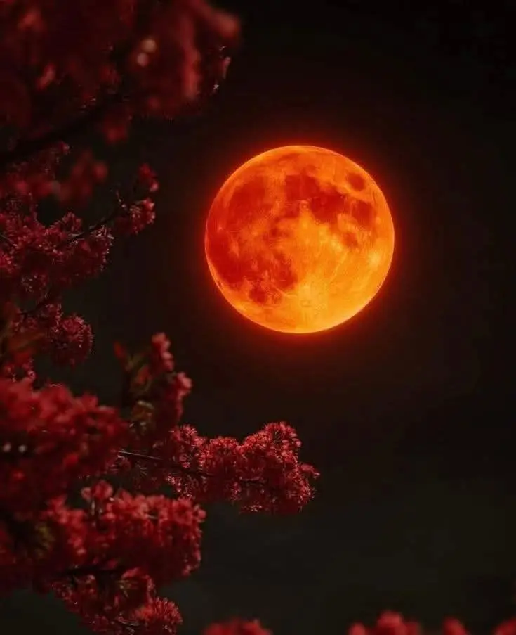 Während der Sonnenfinsternis können Sonne und Mond zusammen sein. Wir werden nie die Worte kennen, die einander zugeflüstert haben. Wir dürfen nie vergessen, dass diese seltenen Momente nur wenige Male im Leben passieren und einzigartig sind.