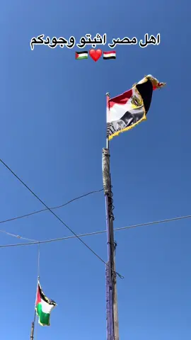 وين المصرين 