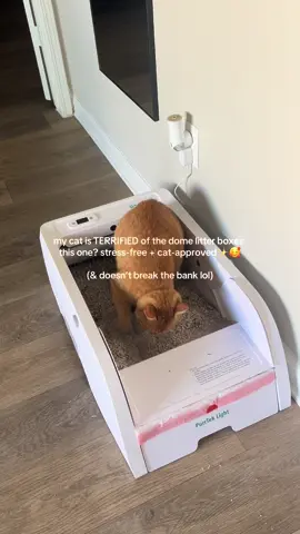 no more dome of doom. #catsoftiktok #selfcleaninglitterbox #automaticlitterbox 