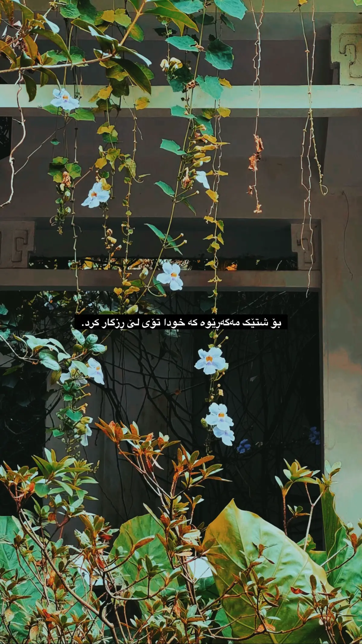 #foryoupage #viraltiktok #activestiktok? #explorepage #foryou 