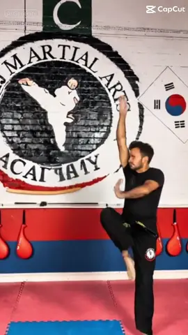 Couldn’t resist this effect #martialarts #sajmartialartsacademy #foruyou #viral #karate 