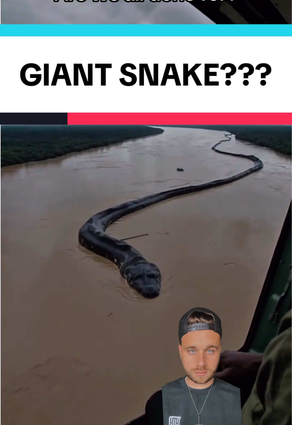 Giant snake in Amazon? DBAS. HTH