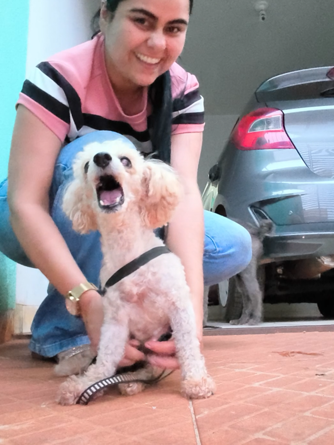 Oiiiii quem estava sumido apareceu. #cachorrosdotiktok #fyyyyyyyyyyyyyyyy #amordepet🐕🥰❤️ #foryoupage❤️❤️ #foryoupage 