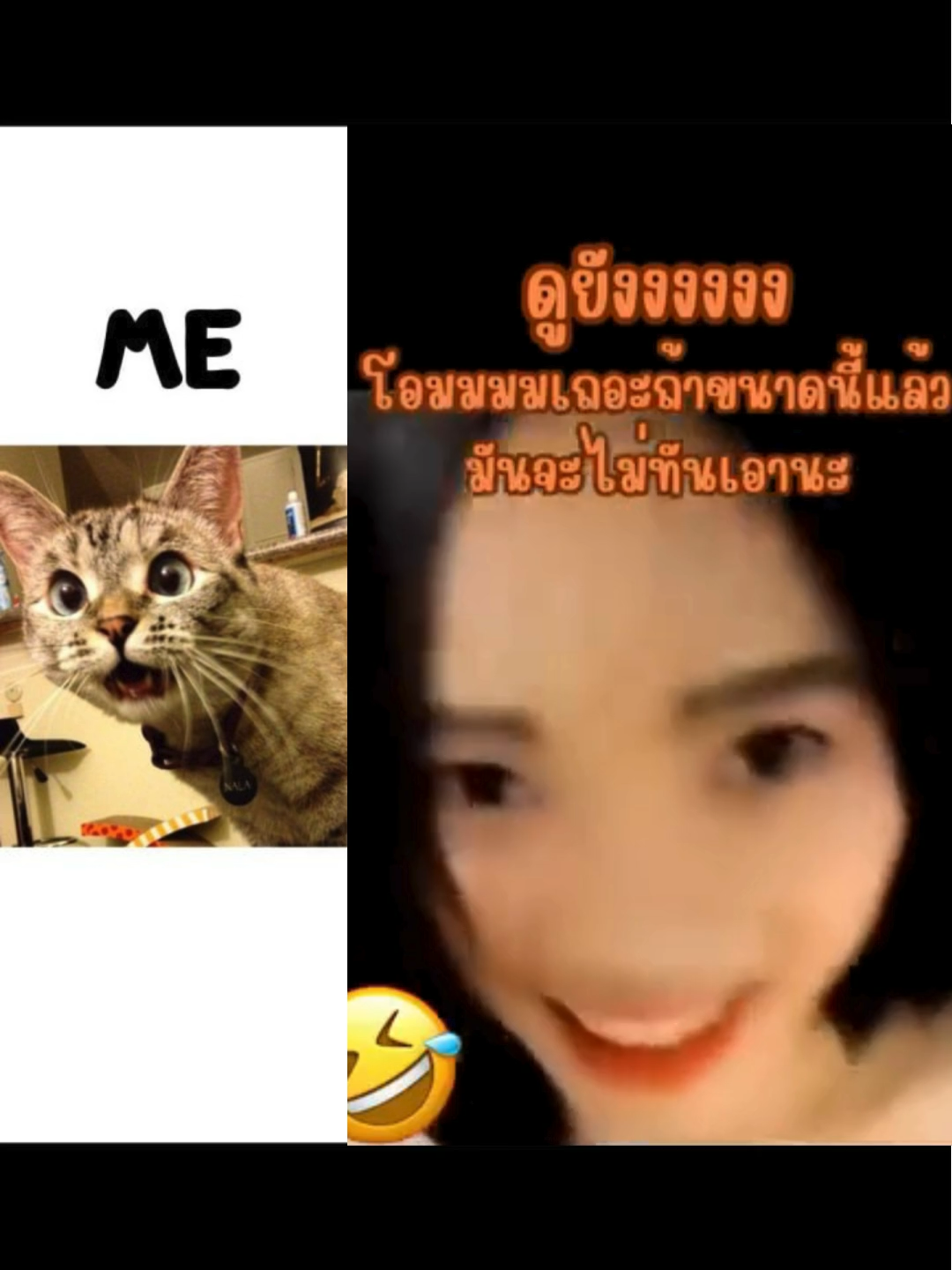 #ติดเทรนด์วันนี้ #กระแสมาแรง #กระแสข่าวดัง #fyp #ติดตาม