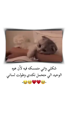 شكلي واني متمسكه فيه لأن هوه  الوحيد الي متحمل نكدي وطولت لساني 🥺😂 . . . . . . . . . . . . . . . . . #تصميم_فيديوهات🎶🎤🎬 #تصميمي #ستوريات #حب  #اميرا__17 