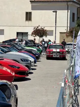 Sai Cosa dovrebbero fare le #supercar quando passo con la #mustang 🤣 ? Beh ora lo sai!  Scherzo é, tu che hai la panda 750 non offenderti a nome di quelli con le #ferrari #automotive #funny 