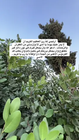 #رحمك_الله_يا_فقيدة_قلبي💔 #فاقدة_أمها #أمي_جنتي #أمي #وداع 