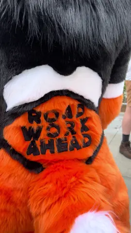 Saw this suiter and had to 😂  ⚠️🚧🦺 #afc2025 #afc #anotherfurrycon #furry #furries #furryfandom 