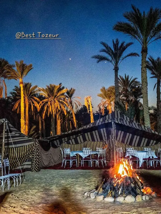 #fypシ゚ #تونس🇹🇳 #توزر🌴 
