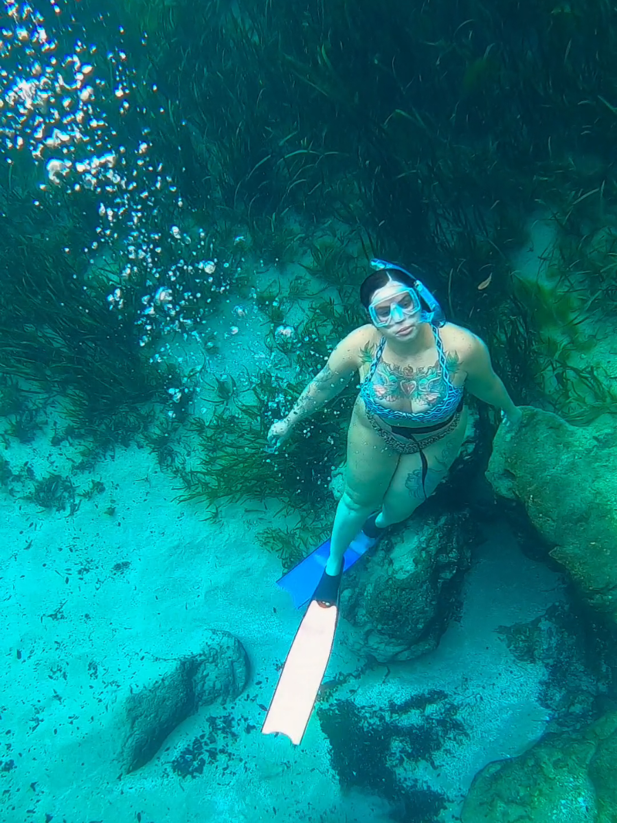 #girlsthatfreedive #freediver #floridavibes #floridalife #floridasprings 