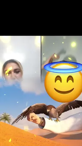 Teşekkürler rodddd😇🙏#tiktoklive #livehighlights #livegift #whalediving #soaringspirit 