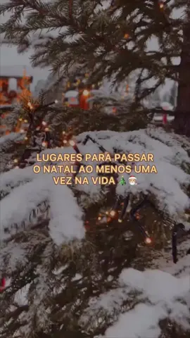 Lugares para passar o Natal ao menos uma vez na vida: Viena, Áustria 🇦🇹. Paris, França 🇫🇷. Nova York, EUA 🇺🇸 🎄✨ Viena 🇦🇹: mercados de Natal, concertos e palácios iluminados. Paris 🇫🇷: Champs-Élysées em luzes, vitrines mágicas e Sena brilhando. Nova York 🇺🇸: árvore do Rockefeller, 5ª Avenida e patinação no Bryant Park. Dica rápida: para viver o Natal de verdade, viaje entre fim de novembro e 26 de dezembro. Para ver luzes e pistas de gelo ainda ativas, início de janeiro funciona (principalmente em Nova York), mas muitos mercados de Natal na Europa já encerraram. #Natal #Viena #Paris #NovaYork #ViagemDeFimDeAno 